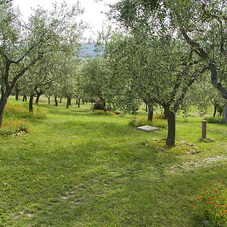 Residence Villa Adriana SantʼAngelo in Lizzola Εξωτερικό φωτογραφία